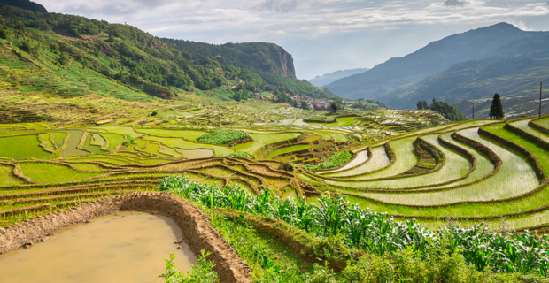 7 excellentes raisons de visiter le Yunnan, en Chine