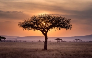 Comment intégrer l’Afrique à son itinéraire de tour du monde ?